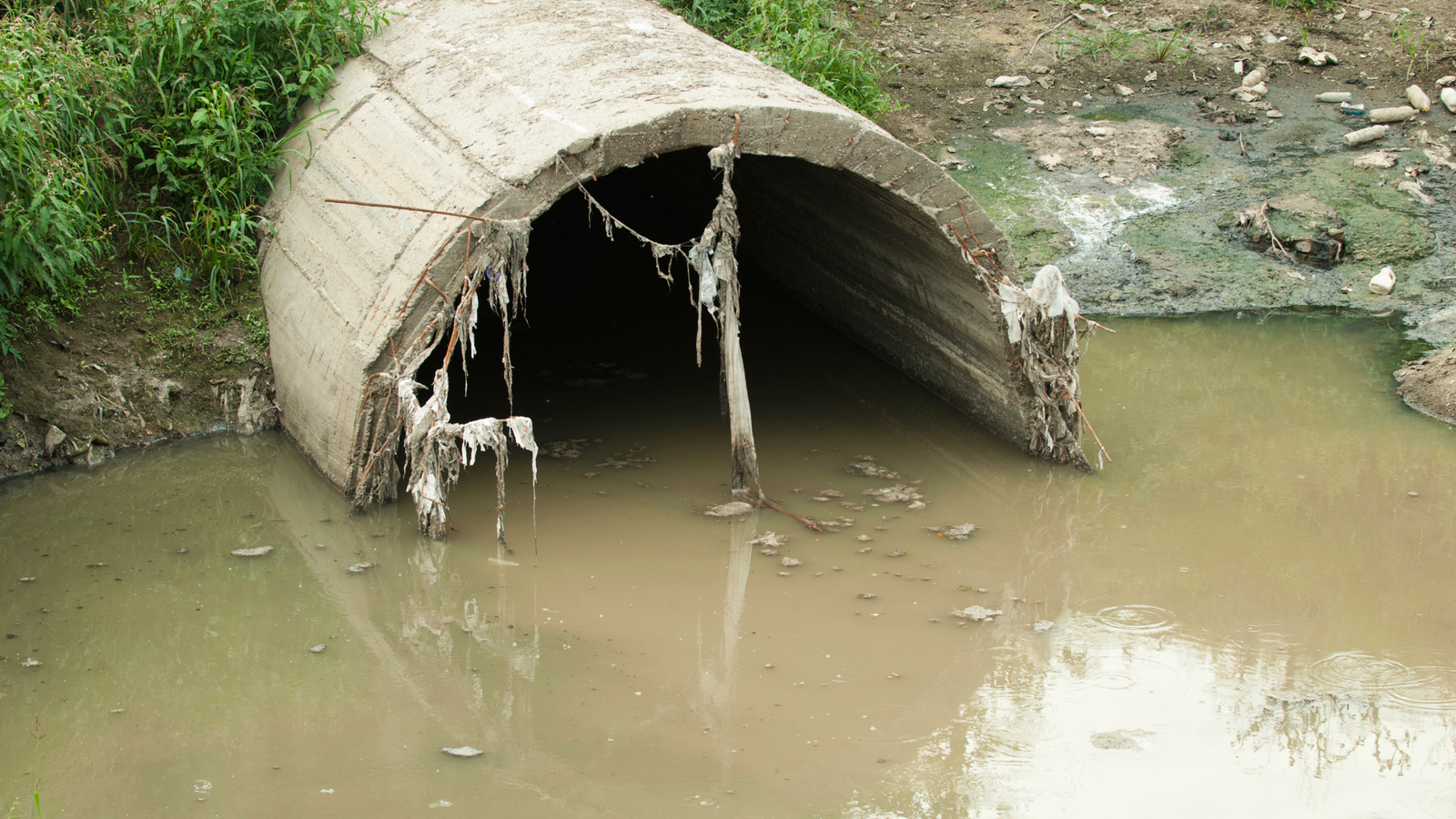 Drain Bros llc shows a blocked concrete pipe with dirty water, needing cleanup and repair to stop flooding issues.
