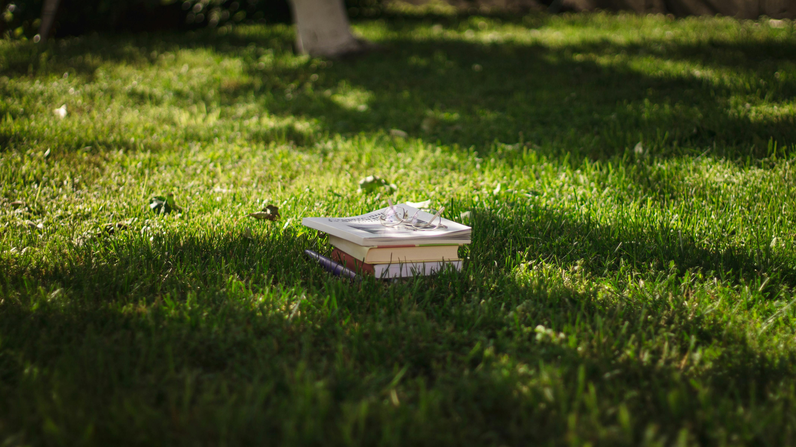 A calm outdoor setting showing quiet time for planning home projects or excavation with Drain Bros llc.