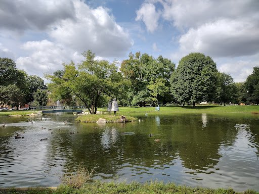 A peaceful park pond shows no signs of sewer issues, reflecting Drain Bros llc’s promise of clean, worry-free service.