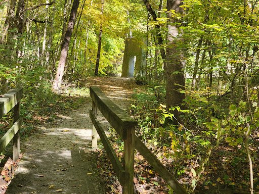 Drain Bros llc helps keep your property peaceful with reliable excavation or septic services in natural, quiet areas.