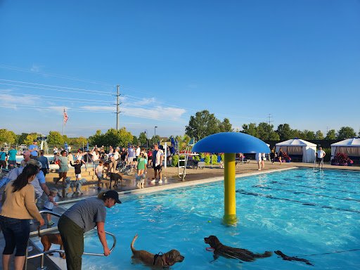 People and dogs relax by a pool, not noticing any sewer line issues that could need Drain Bros llc excavation services.