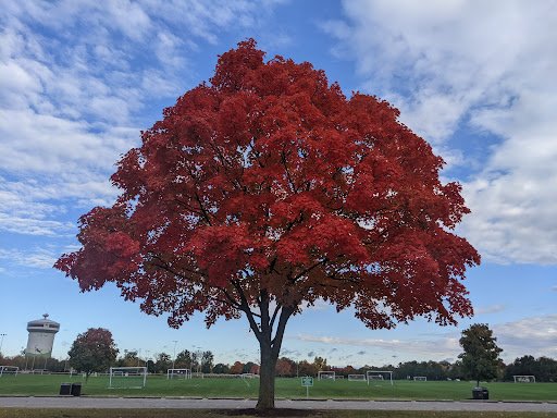 Drain Bros llc shows a recently serviced grassy area near a road and soccer field, highlighted by fall colors.